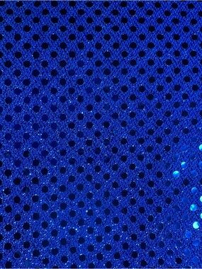 2 Yards Sparkling Blue Sequin Fabric #536